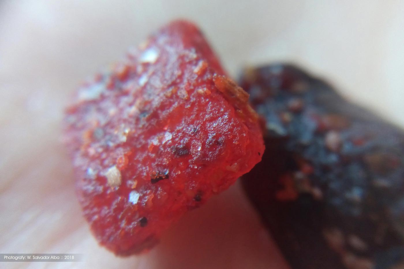 Fotografía digital 'Furta Seca'