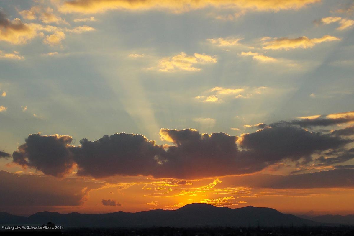 Fotografía digital 'foto de un capullo de mariposa'