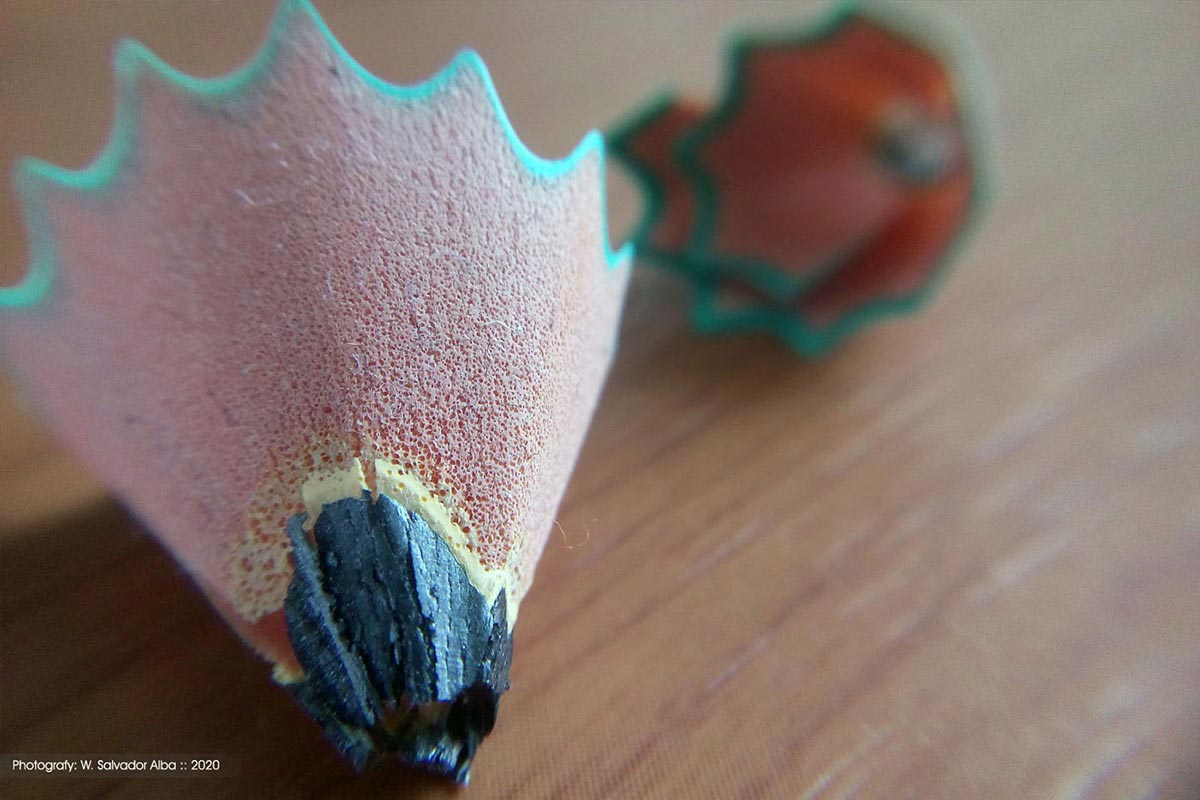 Fotografía digital 'Viruta de lápiz macro'