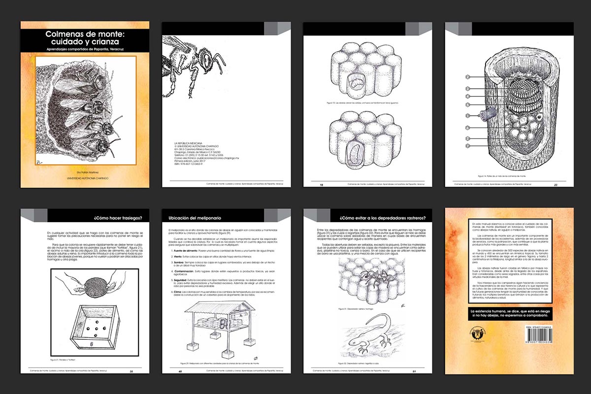 Diseño Editorial: Colmenas de Monte de Elia Patlán 