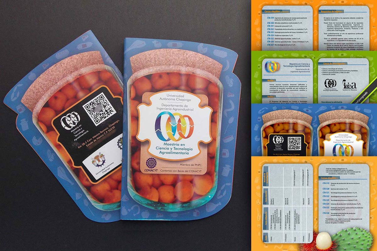 Diseño e impresión de folletería con suaje