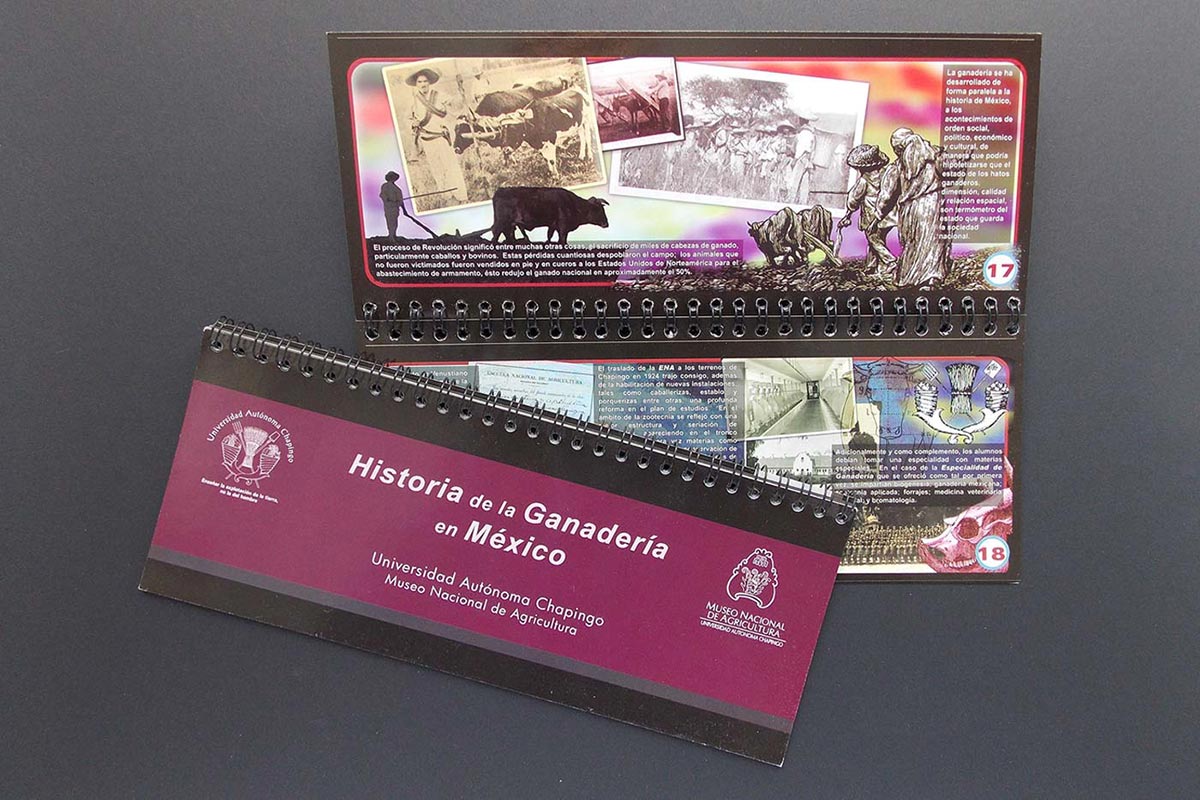 Diseño e impresión de folletería con WireO