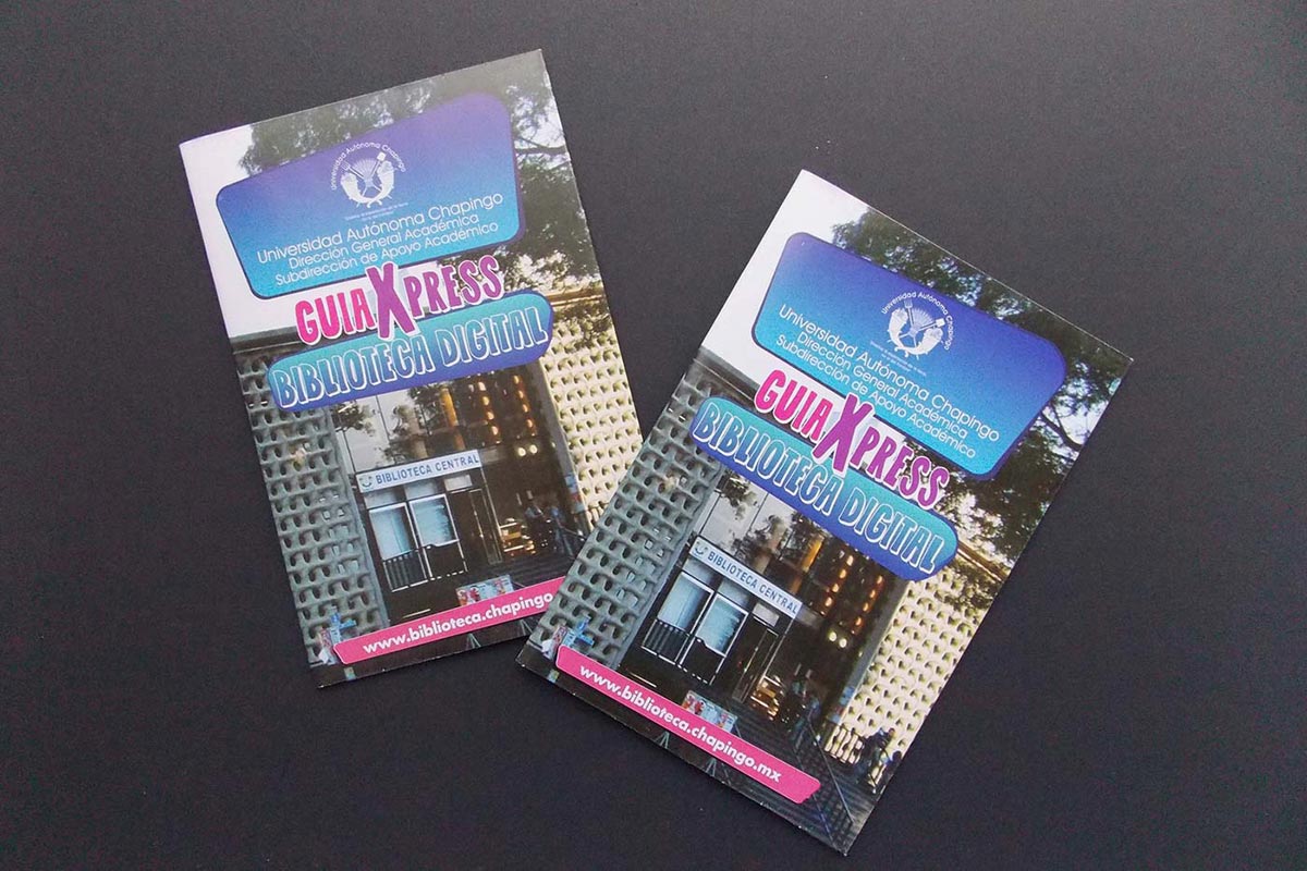 Diseño e impresión de folletería políptica