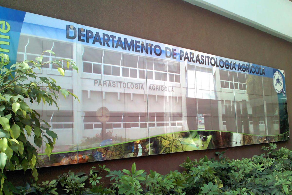 Diseño e impresión de rígido y gran formato